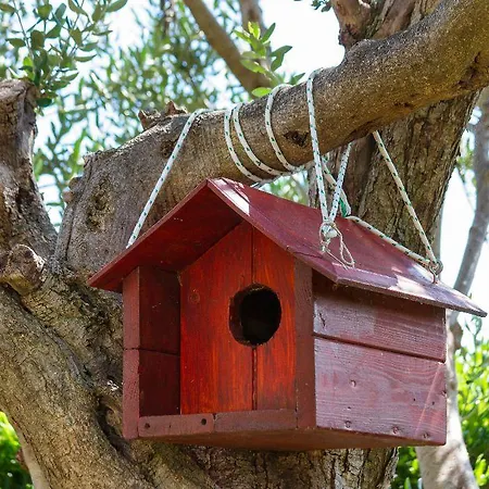 Oktarin بيت شباب