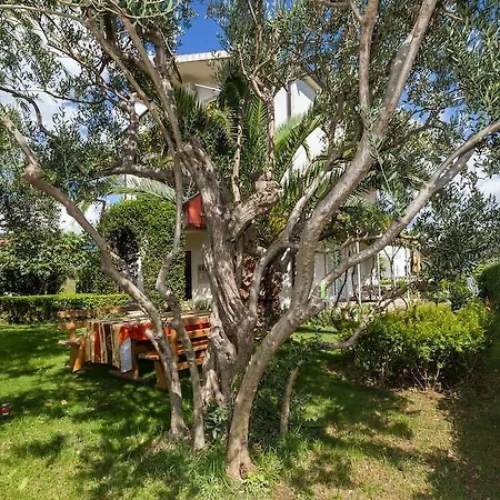 Oktarin بيت شباب