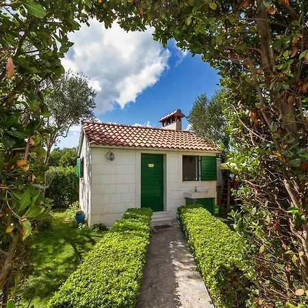 Oktarin بيت شباب