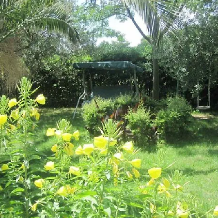 Oktarin بيت شباب