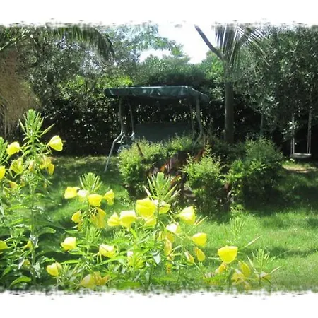 Oktarin אכסניה