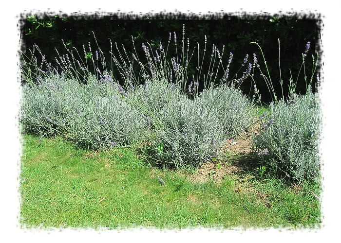 Hostel Oktarin Kaštela